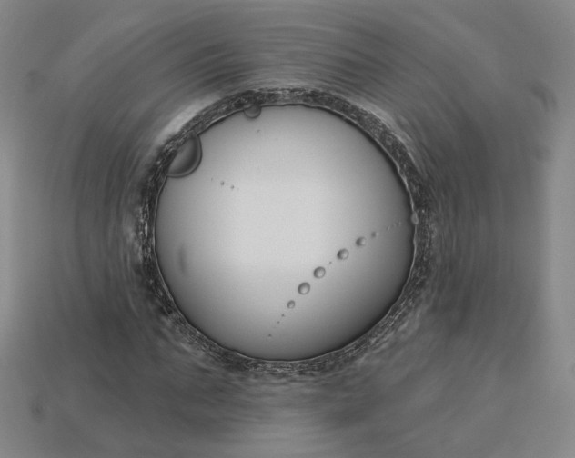 X0000115250871200911131722