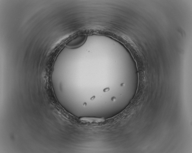 X0000115250872200911131722