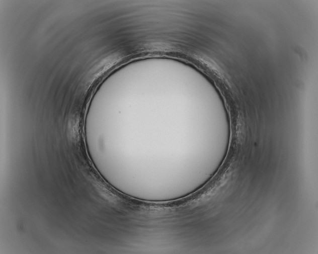 X0000115250873200911131722