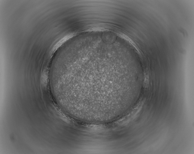 X0000115250874200911131722