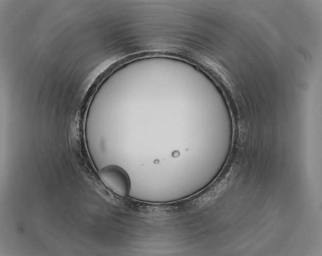 X0000115250875200911131722