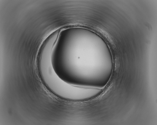 X0000115250876200911131722