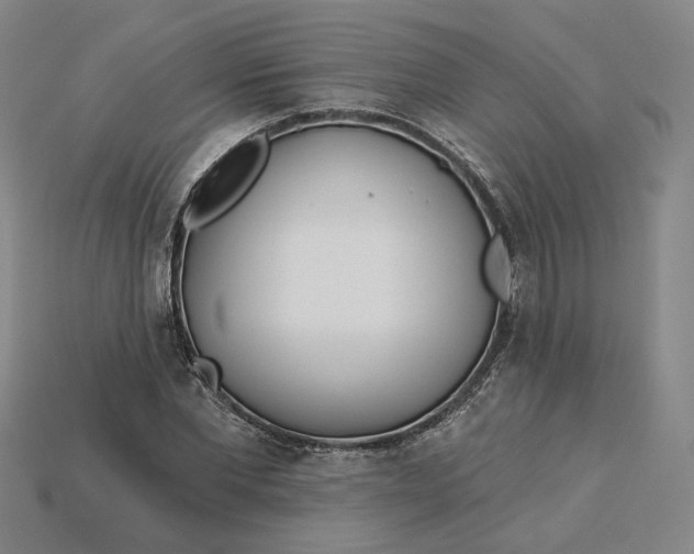 X0000115250877200911131722