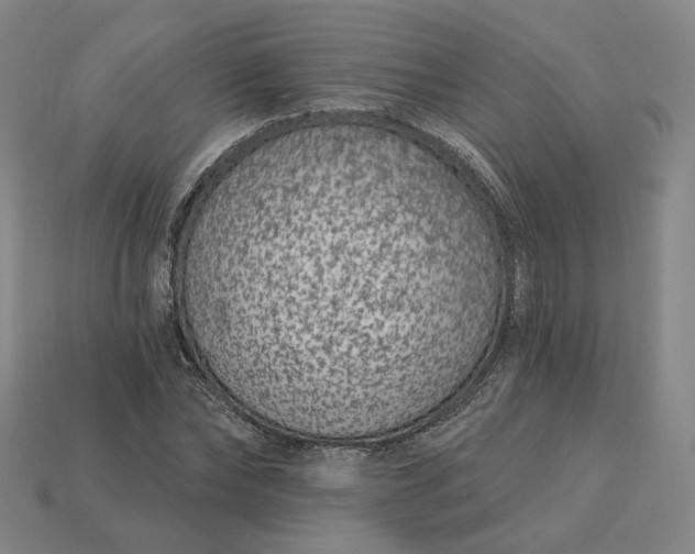 X0000115250878200911131722