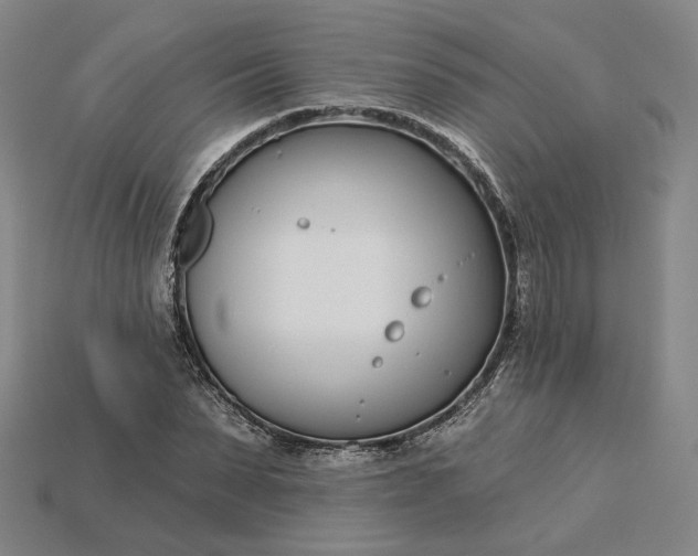 X0000115250879200911131722