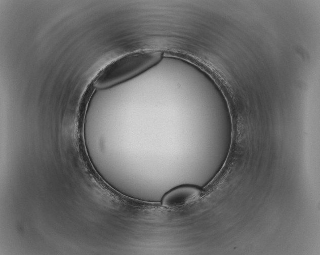 X0000115250880200911131722