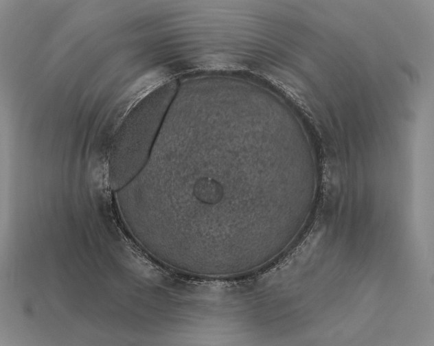 X0000115250881200911131722