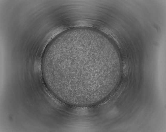 X0000115250882200911131722