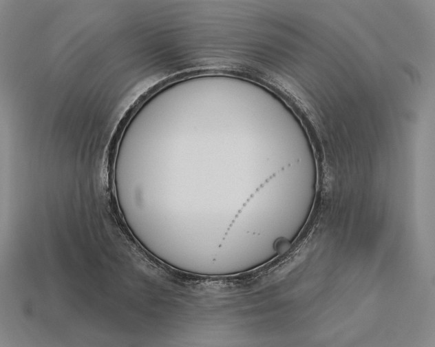 X0000115250883200911131722