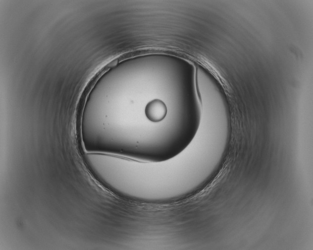 X0000115250884200911131722