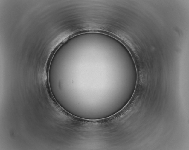 X0000115250885200911131722