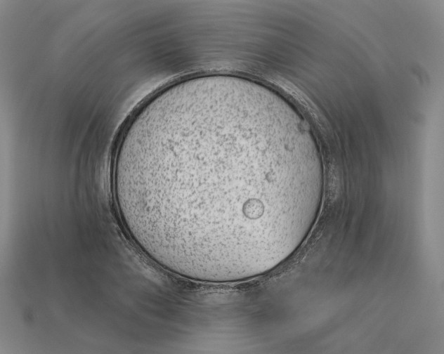 X0000115250886200911131722