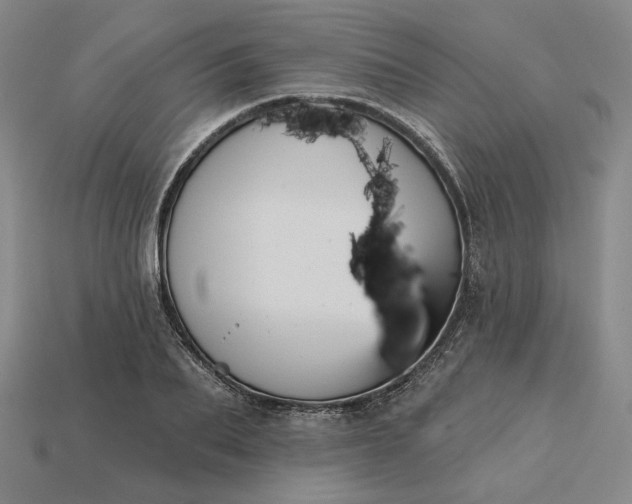 X0000115250887200911131722