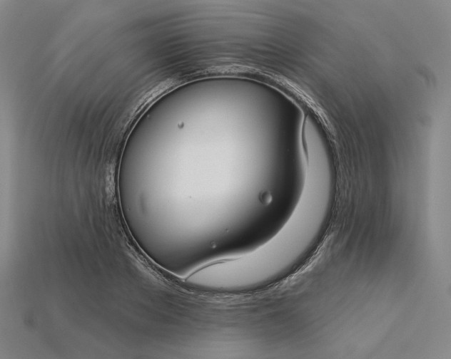 X0000115250889200911131722