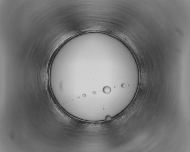 X0000115250890200911131722