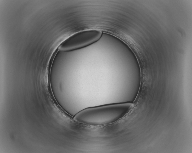 X0000115250892200911131722