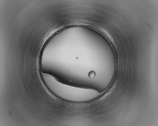 X0000115250893200911131722