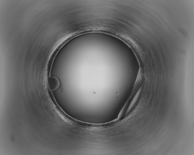 X0000115250894200911131722