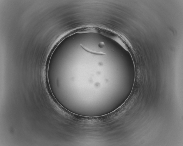 X0000115250895200911131722