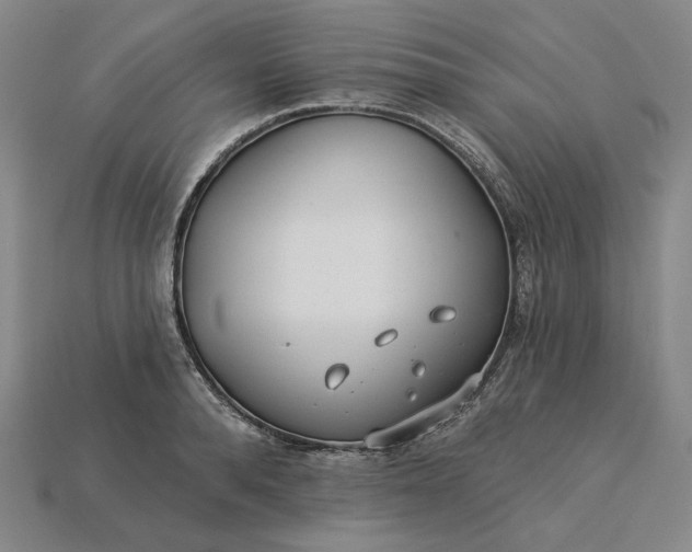 X0000115250896200911131722