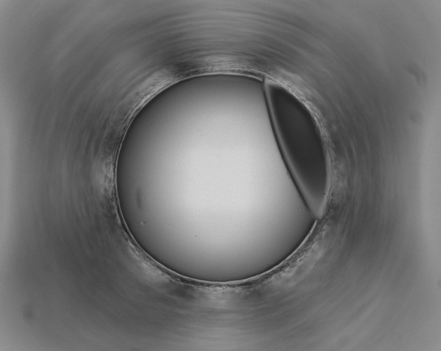 X0000115250897200911131722