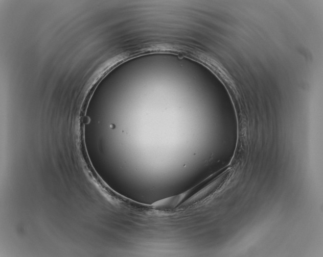 X0000115250898200911131722