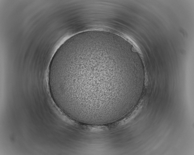 X0000115250899200911131722