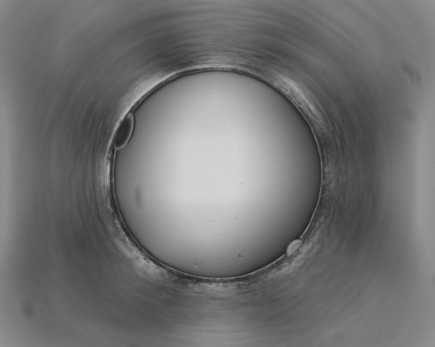 X0000115250900200911131722