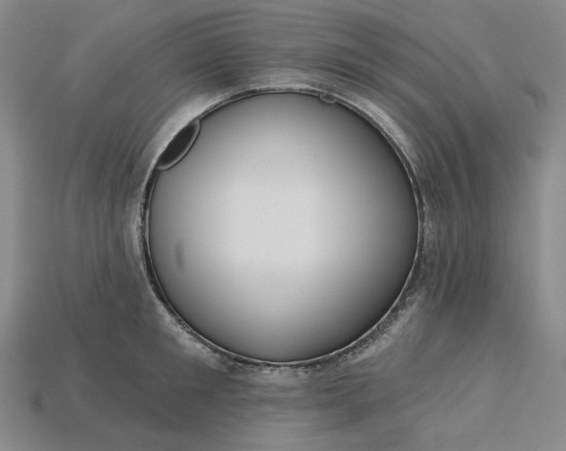 X0000115250901200911131722