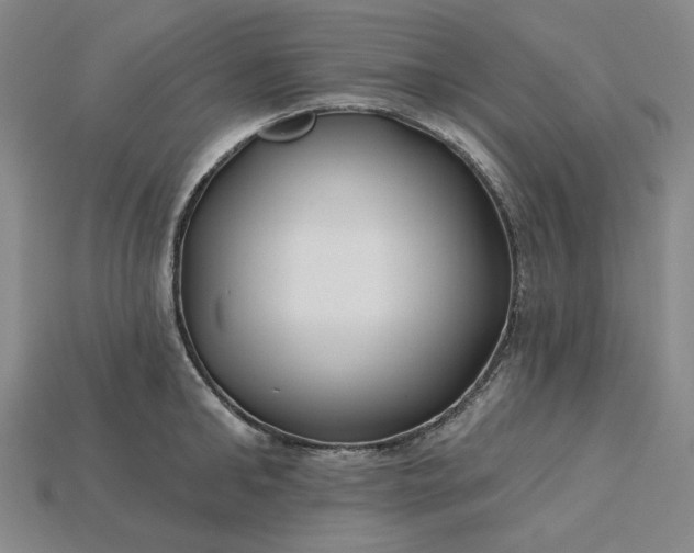 X0000115250902200911131722