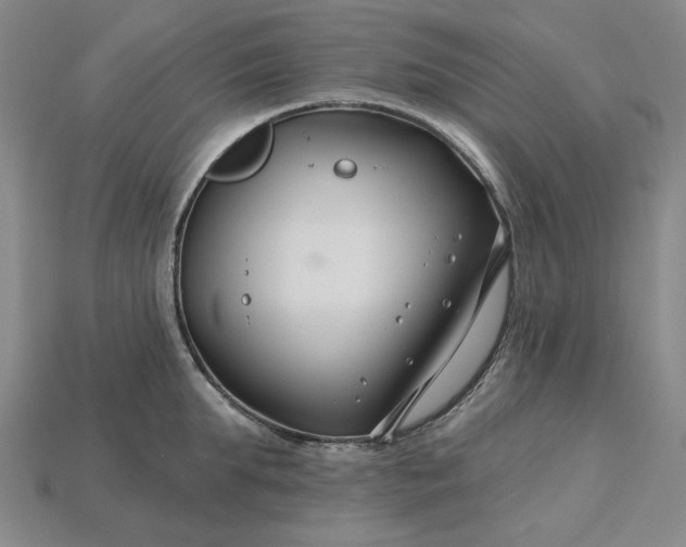 X0000115250903200911131722