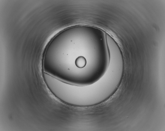 X0000115250904200911131722