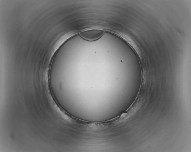 X0000115250906200911131722