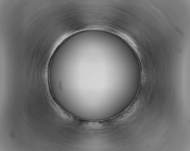 X0000115250907200911131722