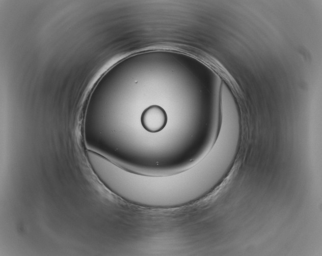 X0000115250908200911131722