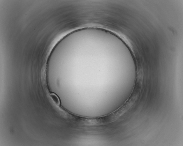 X0000115250911200911131722