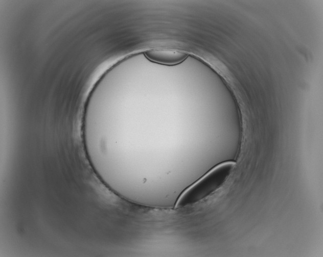 X0000115250912200911131722