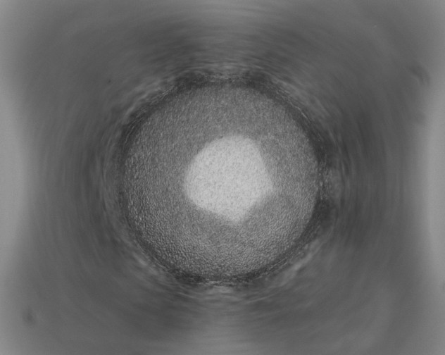 X0000115250913200911131721