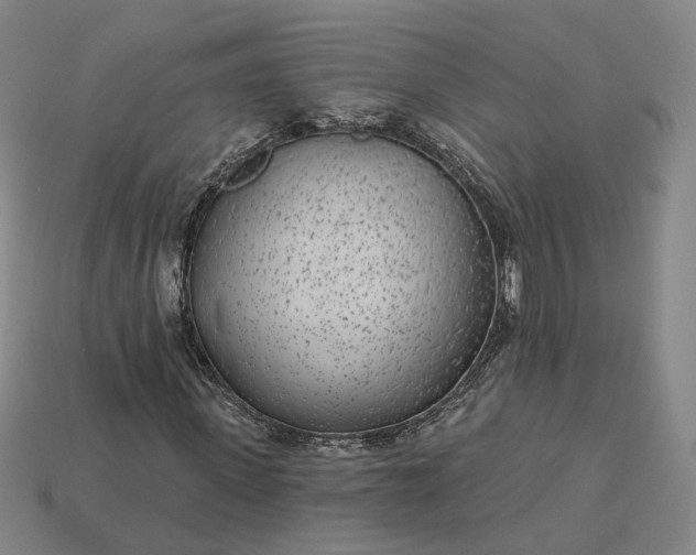 X0000115250915200911131721