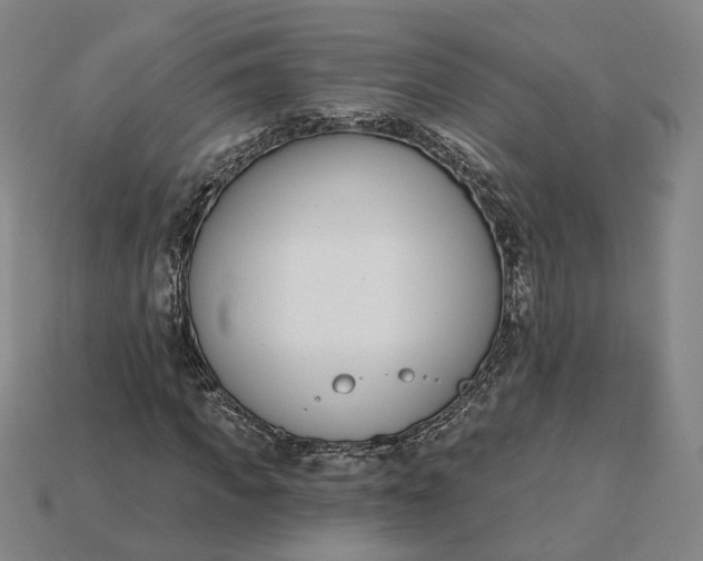 X0000115250917200911131721