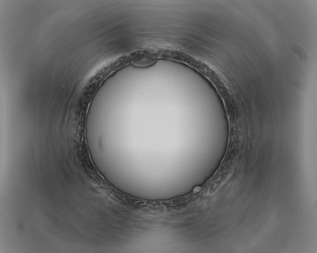 X0000115250919200911131721