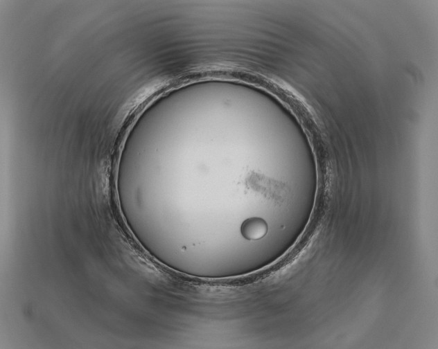 X0000115250921200911131721