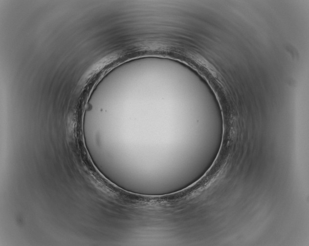 X0000115250922200911131721