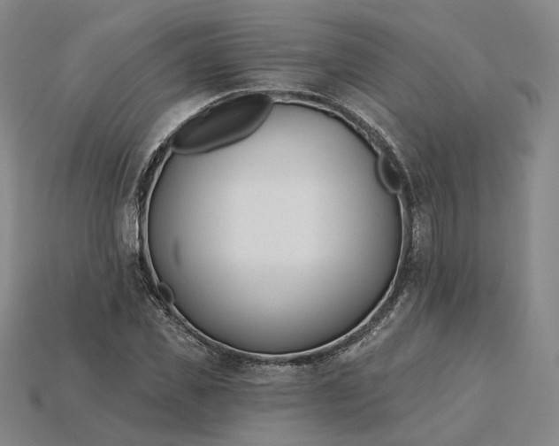 X0000115250925200911131721