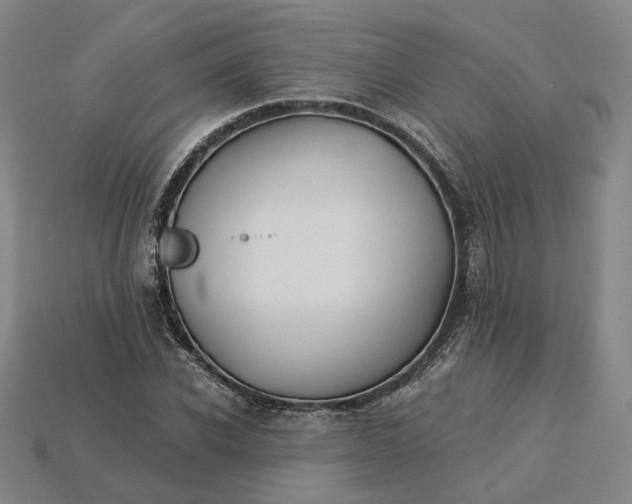 X0000115250926200911131721