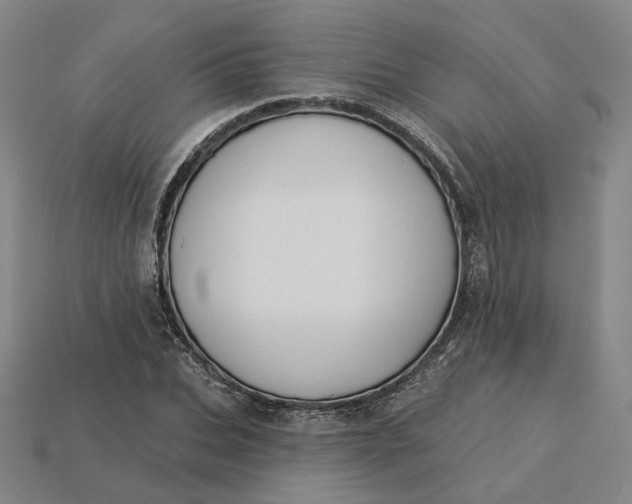 X0000115250927200911131721