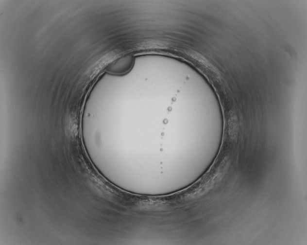 X0000115250929200911131721