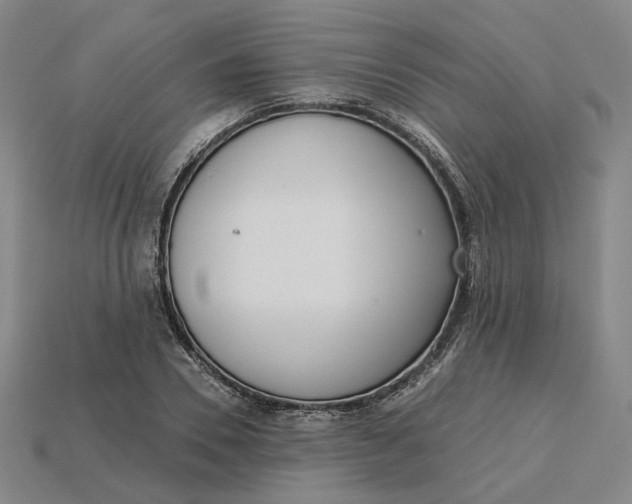 X0000115250930200911131721