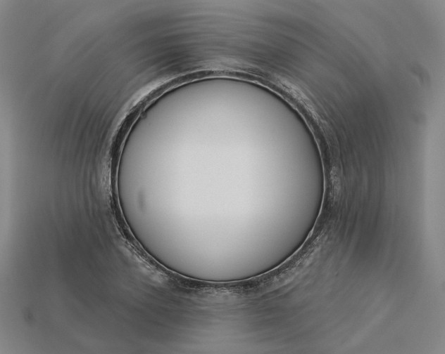 X0000115250931200911131721