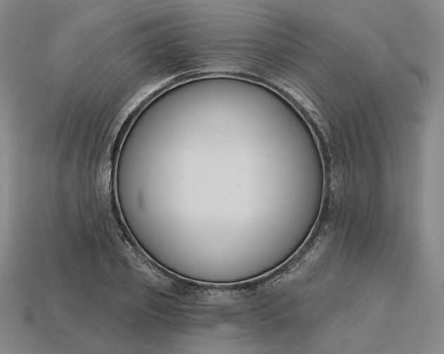 X0000115250933200911131721